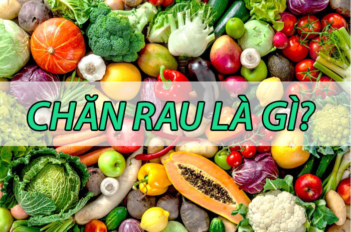 Chăn rau là gì? Ý nghĩa đằng sau từ lóng “chăn rau” như thế nào?