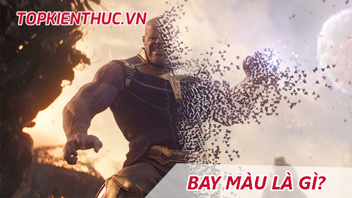 Bay màu là gì? Vì sao từ “bay màu” hot trên mạng xã hội?